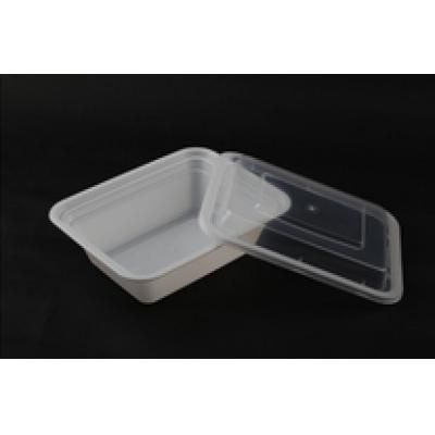 Disposable food container