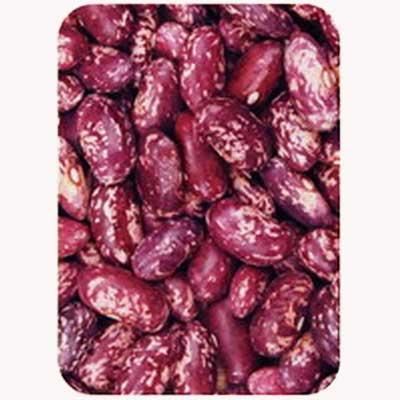 purple speckled kidney bean