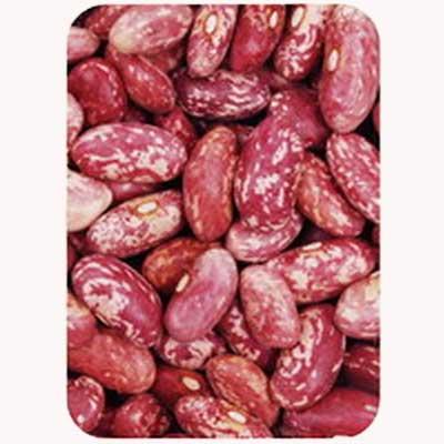 red speckled kidney beans