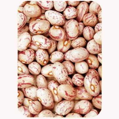 Light speckled kidney beans