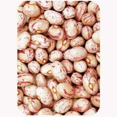 Light speckled kidney beans