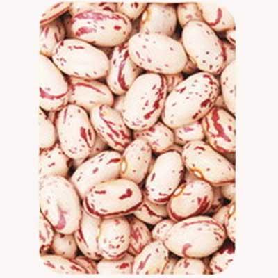 Light speckled kidney beans