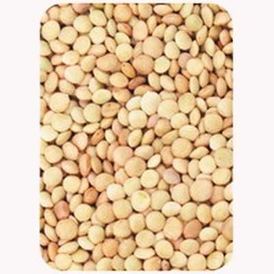 lentils