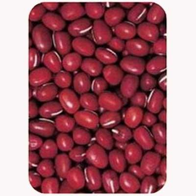 red adzuki bean suppliers