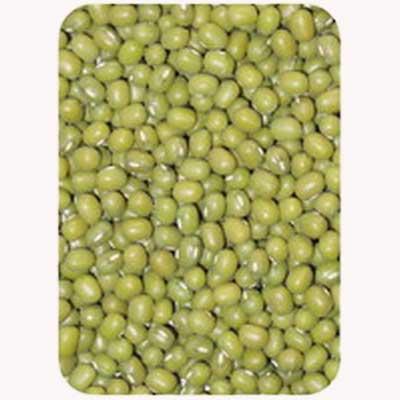 green mung beans