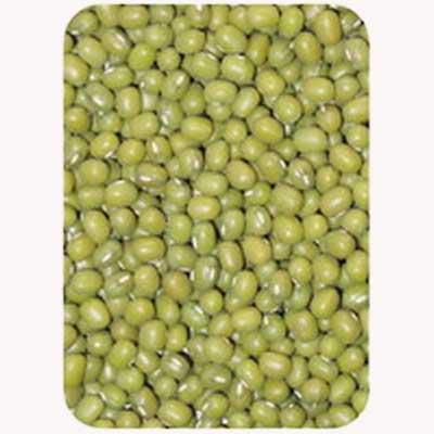 green mung beans