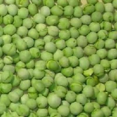 Freeze Dried Green Pea